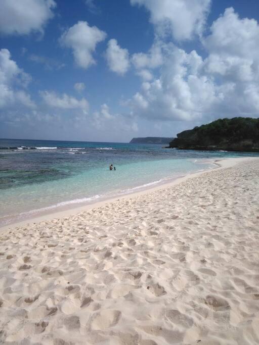 Villa Sous Le Manguier-Anse Bertrand 5Min Plage Exteriér fotografie