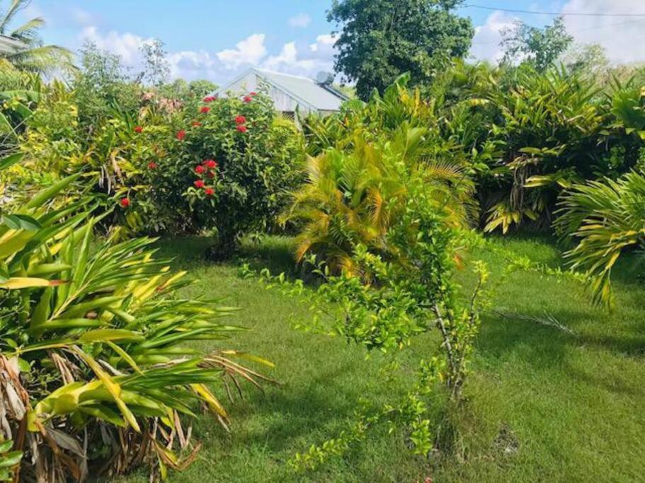 Villa Sous Le Manguier-Anse Bertrand 5Min Plage Exteriér fotografie