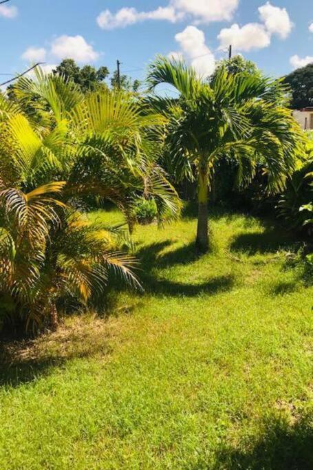 Villa Sous Le Manguier-Anse Bertrand 5Min Plage Exteriér fotografie